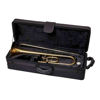 Trombone JP138 Bb/C