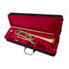 Etui Basstrombone JP8232