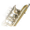 Piccolo Trompet C Scherzer JS8110G, Rotary Valve 4, Clear Lacque, Gold Brass