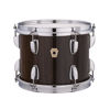 Finish Ludwig Classic Exotic Gloss Full-Face, Fumed Eucalyptus - Z5