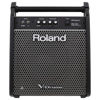 Monitor Roland PM-100, Monitor for V-Drums, 80W