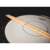 Trommestikker Meinl Signature Luke Holland, Hickory, Wood Tip