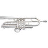 Maxiclapp for Eb Cornet/Eb Trumpet  Stomvi Titan (Bunnlokk)