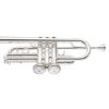 Maxiclapp for  Bb Cornet/Bb Trumpet Stomvi Titan (Bunnlokk)