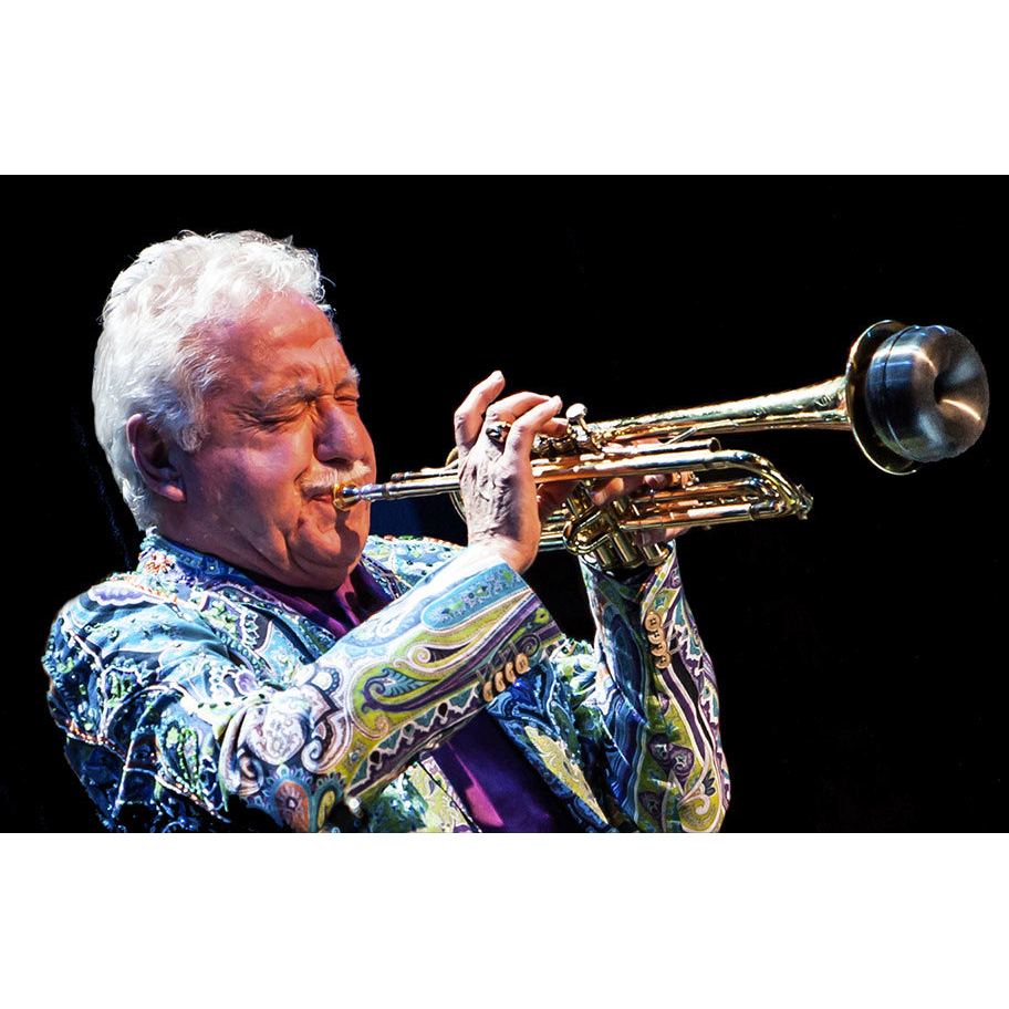 Mute Harmon Zinger TrumCor, Black MusikkMiljø