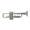 Trompet JP by Taylor Silver, Taylor inspired, inkl. JP Pro Etui