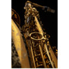 Altsaksofon Selmer Supreme, Dark Gold Lacquered, Outfit