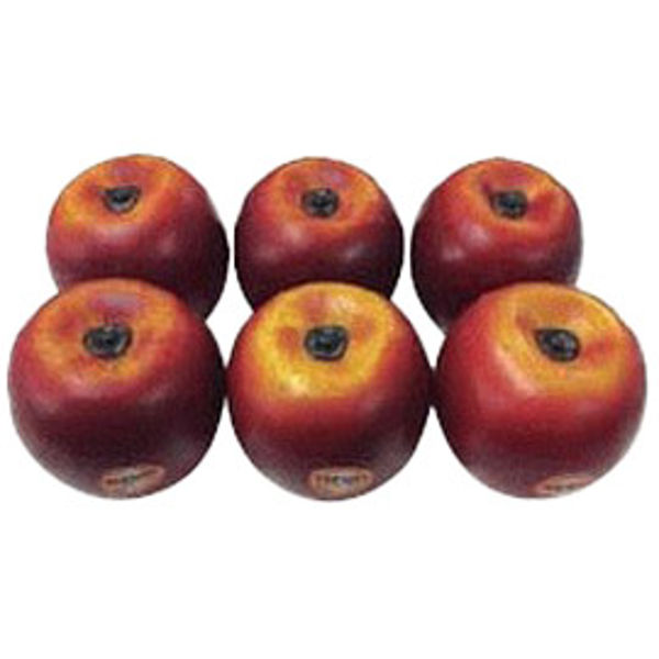 Shaker Remo Fruit SC-APLG-06, Epler, Large, 6 Stk