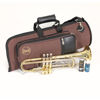 Trompet Bach Bb TR450 Lakk