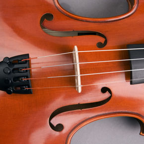 Bilde for kategori Strykeinstrumenter