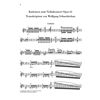 Cadenzas to Violin Concerto op. 61, Ludwig van Beethoven - Violin solo