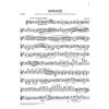 Sonata for Piano and Violin in G major op. 78, Johannes Brahms - Violin, Piano