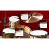 BuzzKill Vater VBUZZ, 6 stk. Clear Flat Muffling Gel Discs