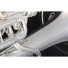 Baritone JP373 Sterling Lakkert 