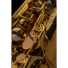 Altsaksofon Selmer Supreme, Dark Gold Lacquered, Outfit