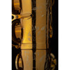 Altsaksofon Selmer Supreme, Dark Gold Lacquered, Outfit