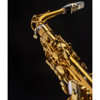 Altsaksofon Selmer Supreme, Dark Gold Lacquered, Outfit