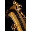 Altsaksofon Selmer Supreme, Dark Gold Lacquered, Outfit