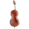 Cello Gewa Allegro VC1 4/4 Komplett