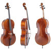 Cello Gewa Allegro VC1 4/4 Komplett
