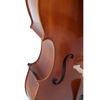 Cello Gewa Allegro VC1 4/4 Komplett