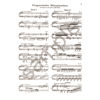 Piano Works Vol.1, Hungarian Rhapsodies No 1-8. Franz Liszt - Piano