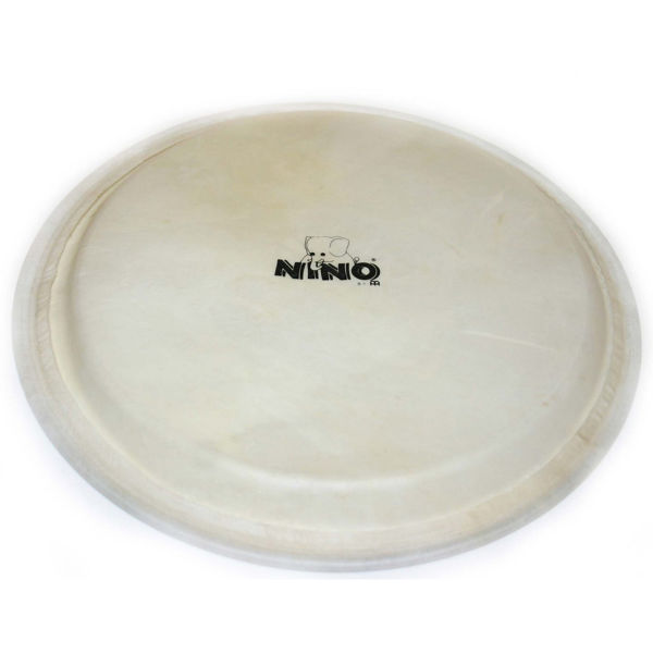 Djembeskinn Meinl Nino23, Nino 10 Goat Head