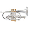 Kornett Bb Stomvi Titan Gold Brass Bell Silverplated (incl. Dynasound valve guide, Valve Clappers Bottom Cap Clappers)