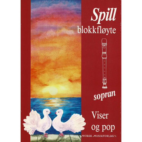 Spill Blokkfløyte Viser og Pop, Stein Skøyeneie