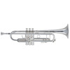 Trompet Bb Bach 190-43S Stradivarius