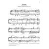 Piano Sonata b minor, Franz Liszt. Piano solo