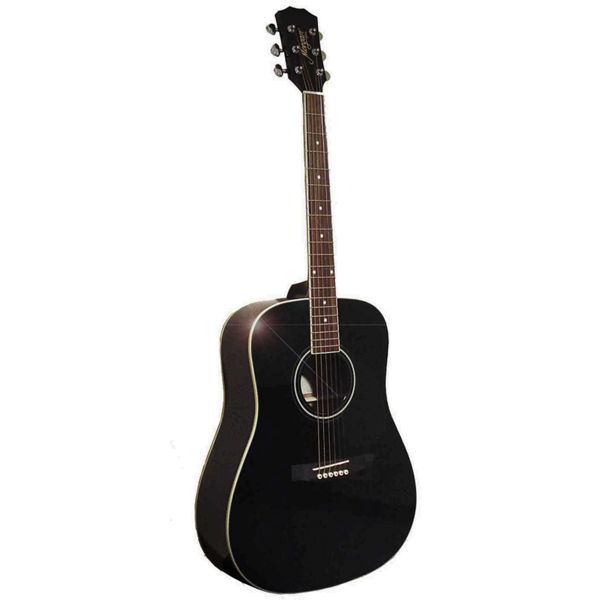 Gitar Western Morgan W 116 BK