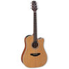 Gitar Western Takamine GD20 Dreadnought Natur, med Pickup