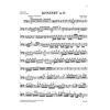 Concerto for Violoncello and Orchestra D major Hob. VIIb:2, Joseph Haydn - Violoncello and Piano