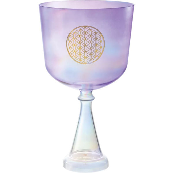 Singing Chalice Meinl Sonic Energy CSC8FPFOL, Crystal Singing Chalice Purple 8