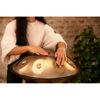 Handpan Meinl Sonic Energy HPSTL92, Stainless Steel, Vintage Gold, C# Minor