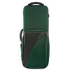 Etui Altsaksofon BAM Trekking 3021S