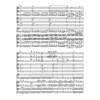 Concerto for Piano and Orchestra no. 20 D minor KV 466, Partitur - Mozart