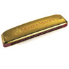 Munnspill Hohner Golden Melody 2416/40 C