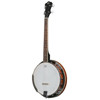 Banjo VGS Select 4-strengs m/Etui