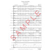 Piratene venter tilbake! Roar Minde Fagerli, Concert Band CB 1,5