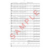 Piratene venter tilbake! Roar Minde Fagerli, Concert Band CB 1,5
