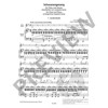 Swan Song, Franz Schubert. Flute and Piano