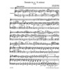 Sonate A Arpeggione, Franz Schubert. Viola and Piano