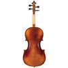 Fiolin Gewa Allegro Garnityr 4/4