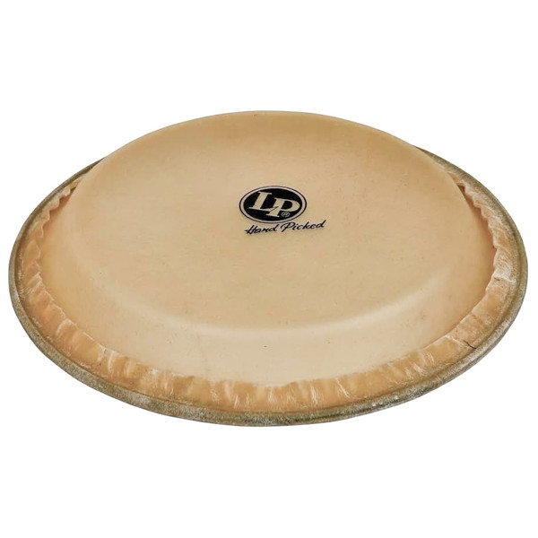 Congaskinn LP, LP265A, Comfort Curve 2, Buffalo Head 11