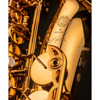 Altsaksofon Selmer Signature, Antiqued Lacquered. Outfit