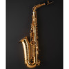 Altsaksofon Selmer Signature, Antiqued Lacquered. Outfit