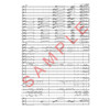 Feelin' All Right, Frode Thingnæs arr Lars Erik Gudim. Instrumental Soloist and Concert Band