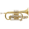 Kornett Bb Bach Bb 184 Stradivarius, Lakkert